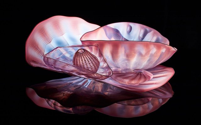 Pink Seaform Set, glass sculpture, made in 1984 by Dale Chihuly, photo by Terry Brennan